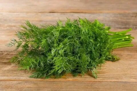 تصویر 5 از فروش شوید خشک درجه یک